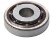 Friction Bearing:91166315