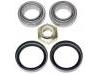 Radlagersatz Wheel bearing kit:5 011 391